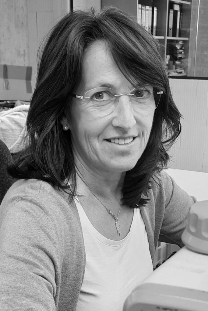 Rosi, Team, Wunschleder